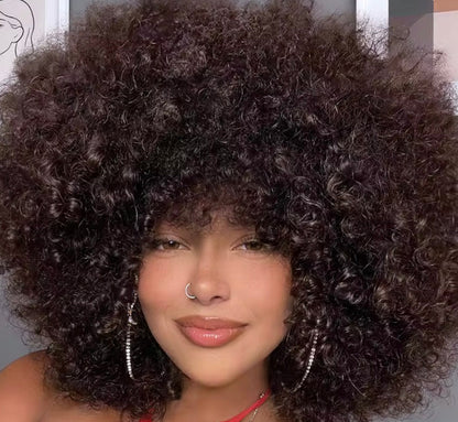 Perruque Courte Bob Cheveux Humains Frisés Afro